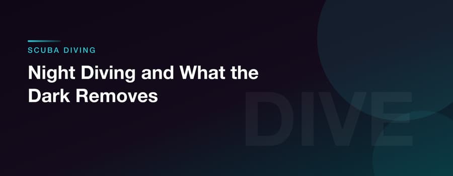 Night Diving and What the Dark Removes