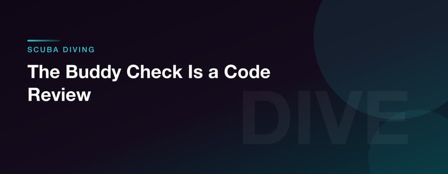 The Buddy Check Is a Code Review
