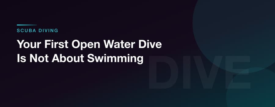Your First Open Water Dive Is Not About Swimming