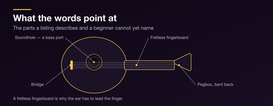 Choosing Your First Oud Without Regret — Figure 2