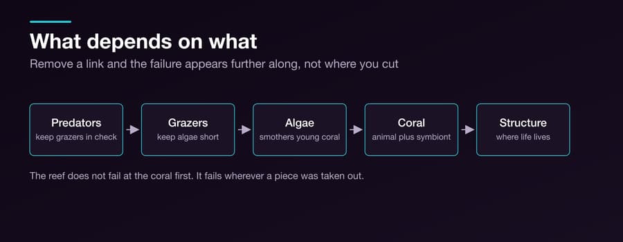Reading a Reef Like a System — Figure 1